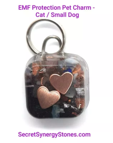 EMF 5G protection Pet Charm For Small Dog with Split Ring