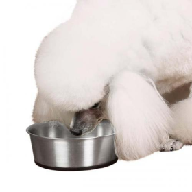 Food or Water Bowl with Rubber Base 88oz