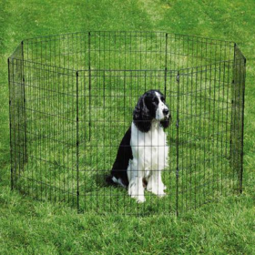 Wire Play Pen For Dogs