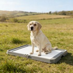 Holder- Foldable Dog Litter Box