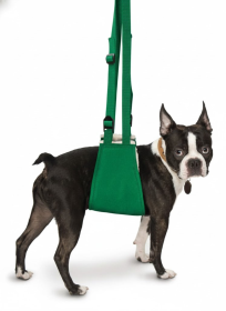 Soft Quick Lift (Color: Green, size: medium)